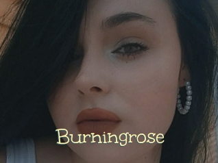 Burningrose