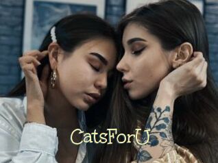 CatsForU
