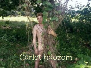 Carlot_hdozom
