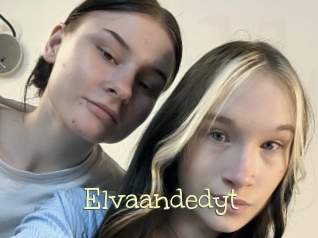 Elvaandedyt