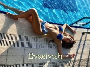 Evaelvish