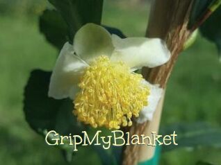 GripMyBlanket