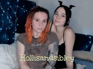 Hollisandsibley