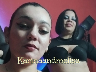 Karinaandmelisa