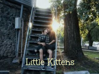 Little_Kittens