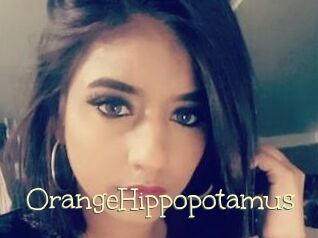 OrangeHippopotamus
