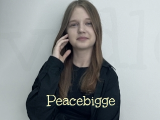 Peacebigge