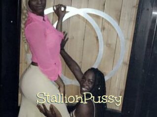 StallionPussy