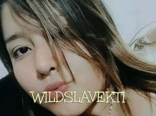 WILDSLAVEKTI