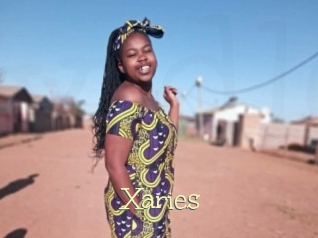 Xaries